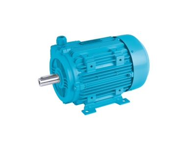 Elektrikli Motor IE2 - 400V 50Hz (6P) 1000 d/d